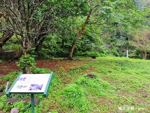 IMG_20181224_085527.jpg IMG_20181224_085527.jpg