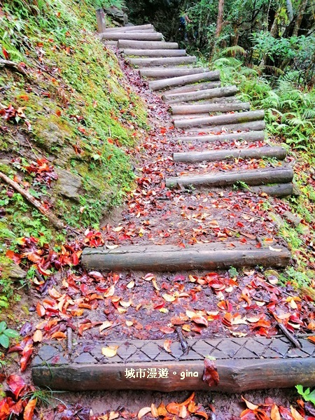 IMG_20181224_090819.jpg IMG_20181224_090819.jpg