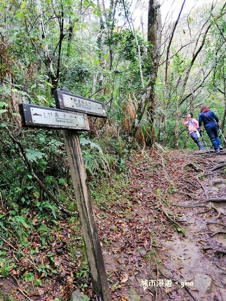 IMG_20181224_091921.jpg IMG_20181224_091921.jpg