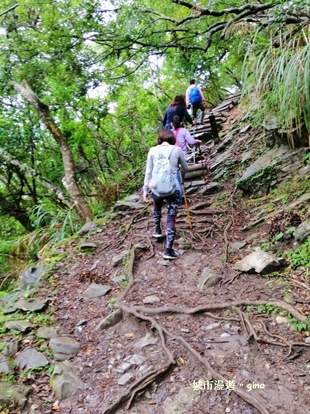 IMG_20181224_092054.jpg IMG_20181224_092054.jpg