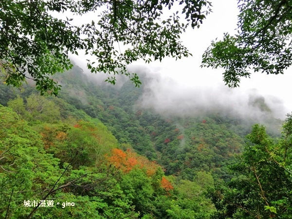 IMG_20181224_092929.jpg IMG_20181224_092929.jpg