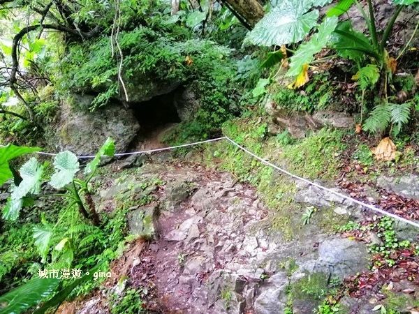 IMG_20181224_095146.jpg IMG_20181224_095146.jpg