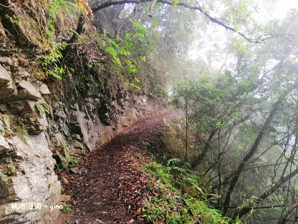 IMG_20181224_100425.jpg IMG_20181224_100425.jpg