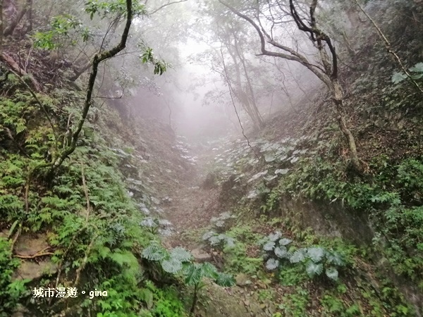 IMG_20181224_100753.jpg IMG_20181224_100753.jpg