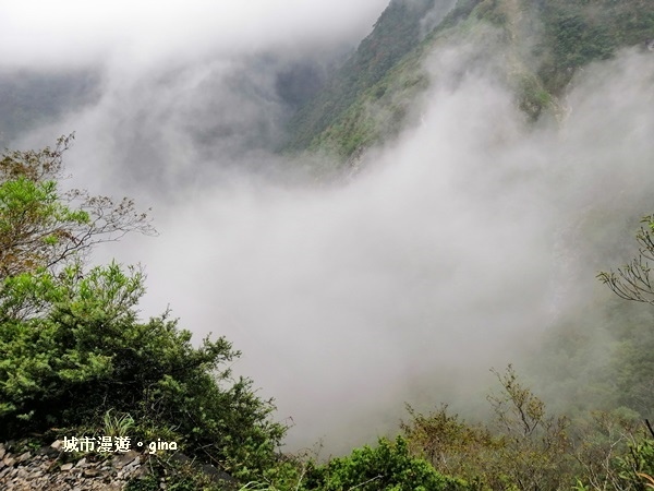 IMG_20181224_101142.jpg IMG_20181224_101142.jpg