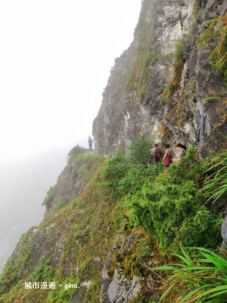 IMG_20181224_102259.jpg IMG_20181224_102259.jpg