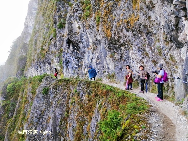 IMG_20181224_102651.jpg IMG_20181224_102651.jpg