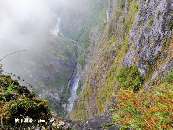 IMG_20181224_102700.jpg IMG_20181224_102700.jpg