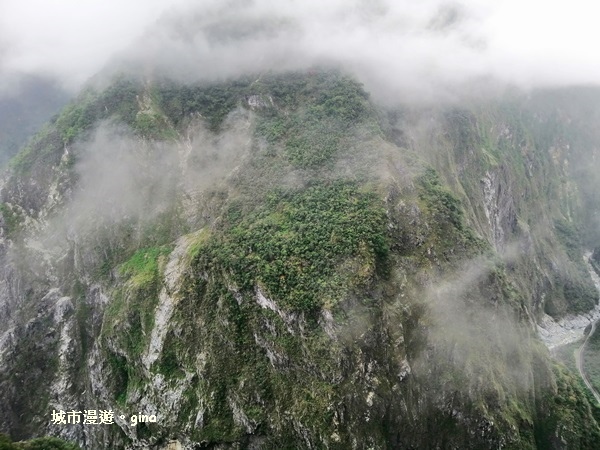 IMG_20181224_103218.jpg IMG_20181224_103218.jpg