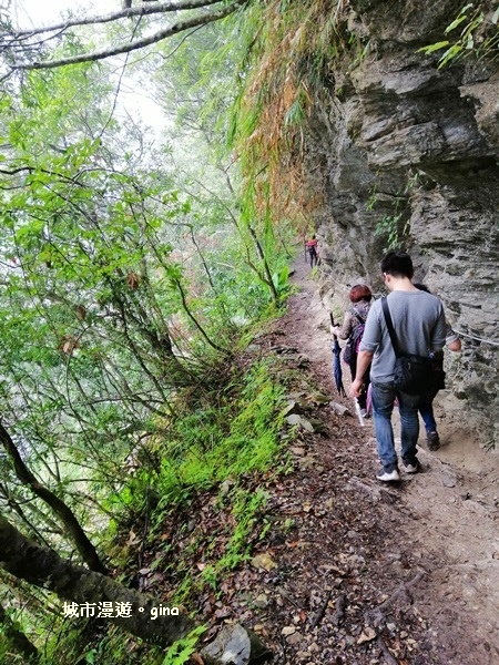 IMG_20181224_104203.jpg IMG_20181224_104203.jpg