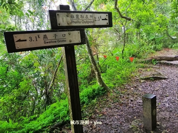 IMG_20181224_104249.jpg IMG_20181224_104249.jpg