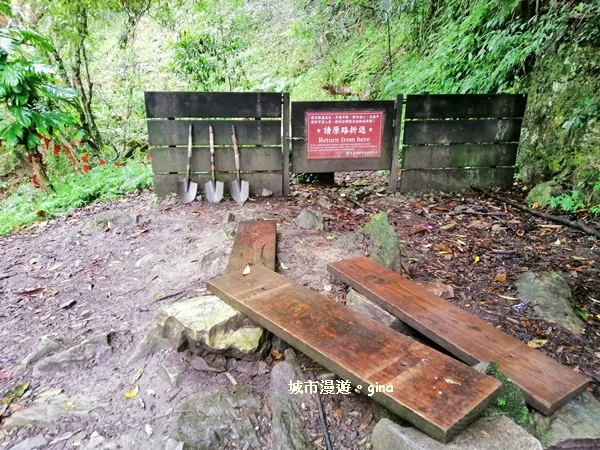 IMG_20181224_104328.jpg IMG_20181224_104328.jpg