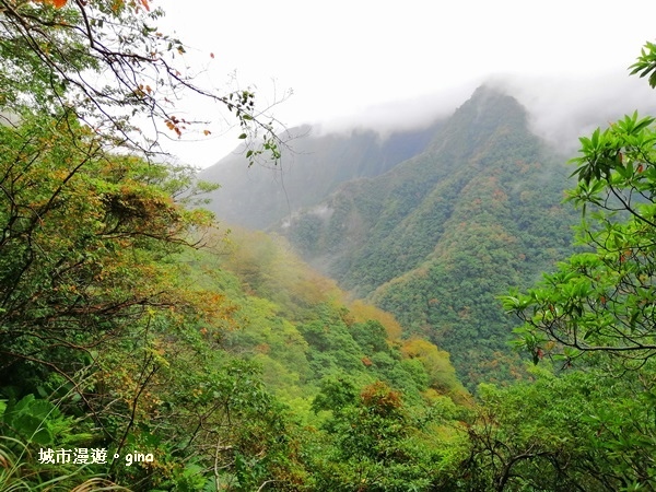 IMG_20181224_112747.jpg IMG_20181224_112747.jpg