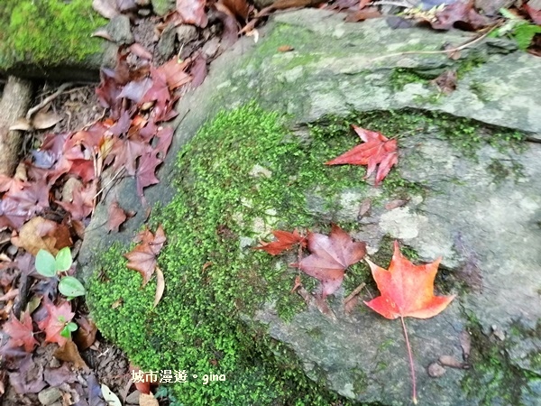 IMG_20181224_123311.jpg IMG_20181224_123311.jpg