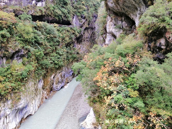 IMG_20181224_123631.jpg IMG_20181224_123631.jpg