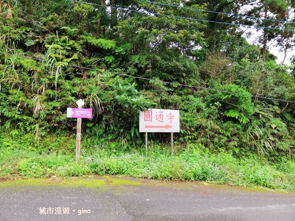 IMG_20181229_123520.jpg IMG_20181229_123520.jpg