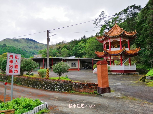 IMG_20181229_125024.jpg IMG_20181229_125024.jpg