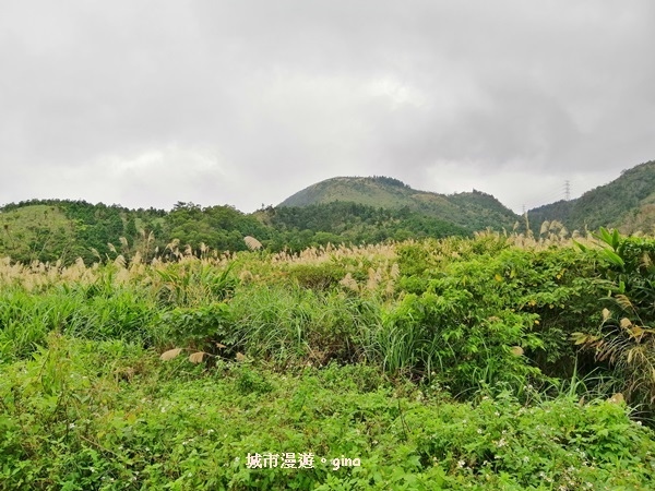 IMG_20181229_130436.jpg IMG_20181229_130436.jpg