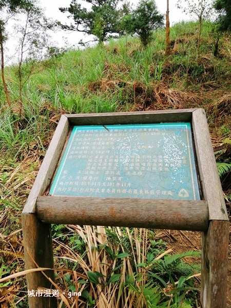 IMG_20181229_132646.jpg IMG_20181229_132646.jpg