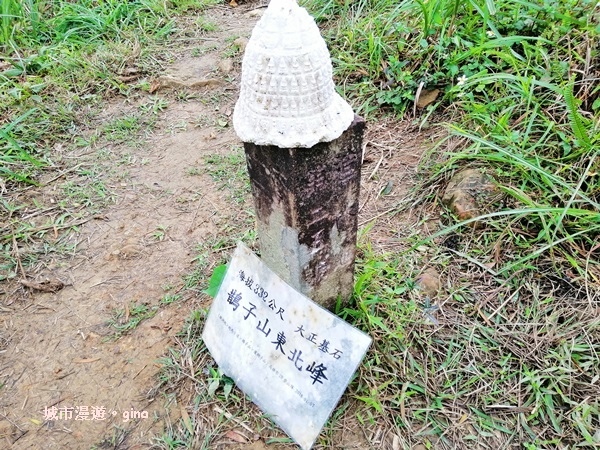 IMG_20181229_133135.jpg IMG_20181229_133135.jpg