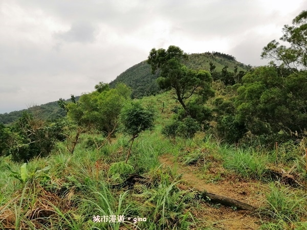 IMG_20181229_133154.jpg IMG_20181229_133154.jpg