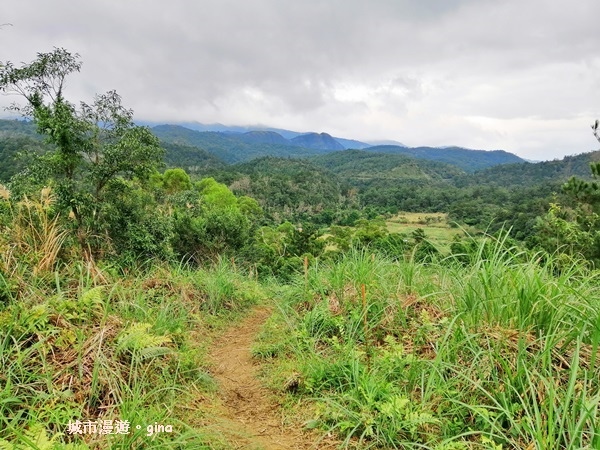 IMG_20181229_133202.jpg IMG_20181229_133202.jpg