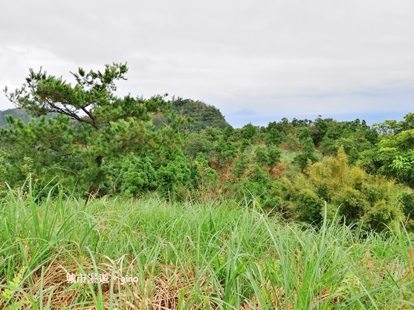 IMG_20181229_133206.jpg IMG_20181229_133206.jpg