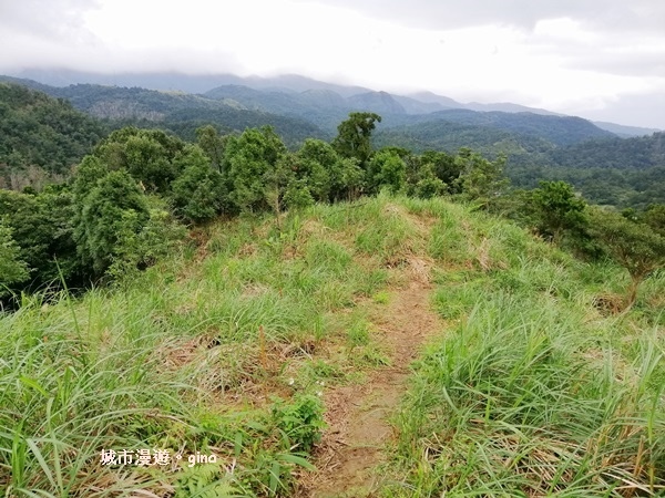 IMG_20181229_134311.jpg IMG_20181229_134311.jpg