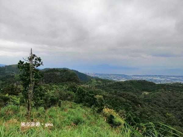 IMG_20181229_134319.jpg IMG_20181229_134319.jpg