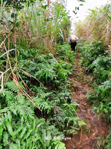 IMG_20181229_140143.jpg IMG_20181229_140143.jpg