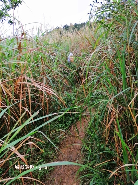 IMG_20181229_140521.jpg IMG_20181229_140521.jpg