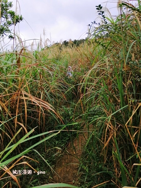 IMG_20181229_140525.jpg IMG_20181229_140525.jpg