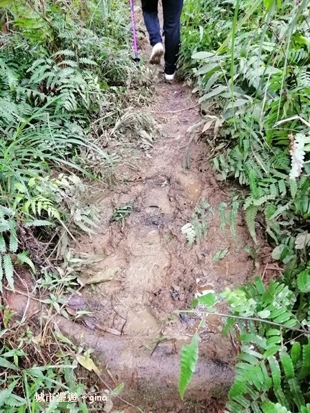 IMG_20181229_142641.jpg IMG_20181229_142641.jpg