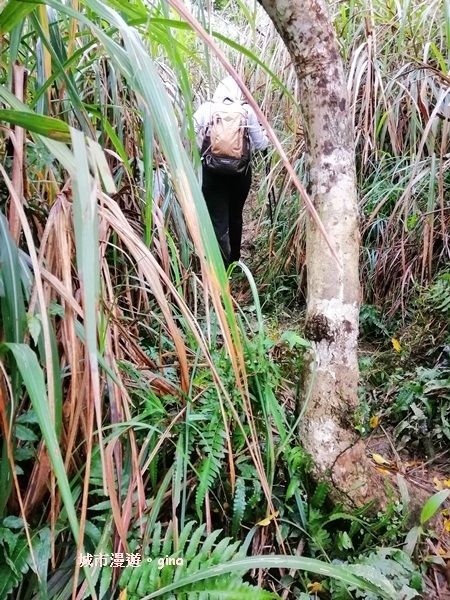 IMG_20181229_144003.jpg IMG_20181229_144003.jpg