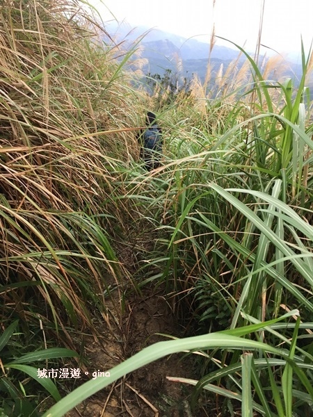 IMG_20181229_144005.jpg IMG_20181229_144005.jpg