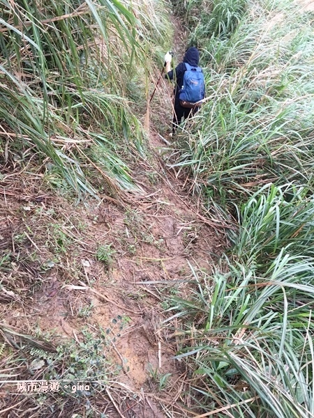 IMG_20181229_144004.jpg IMG_20181229_144004.jpg