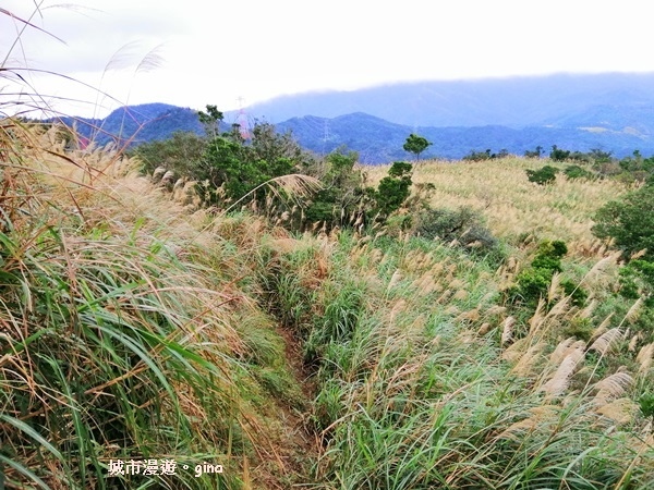 IMG_20181229_151651.jpg IMG_20181229_151651.jpg