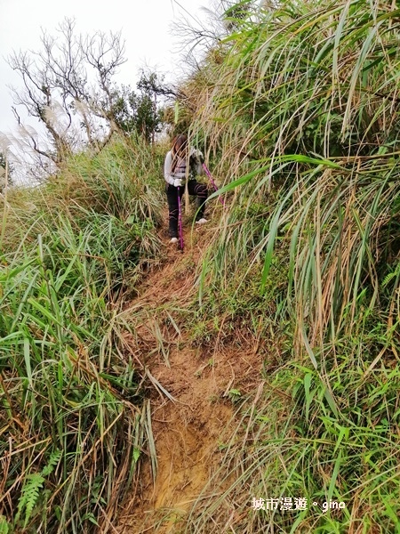 IMG_20181229_152205.jpg IMG_20181229_152205.jpg