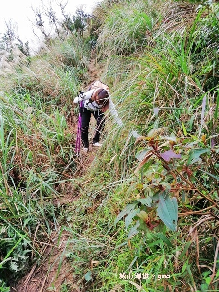 IMG_20181229_152940.jpg IMG_20181229_152940.jpg