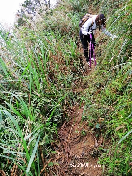 IMG_20181229_152943.jpg IMG_20181229_152943.jpg