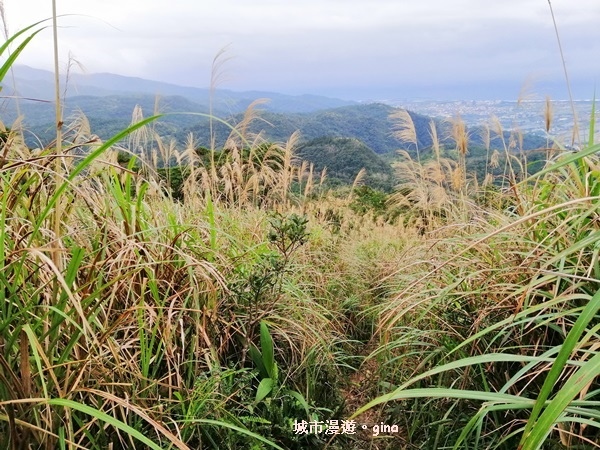 IMG_20181229_155013.jpg IMG_20181229_155013.jpg