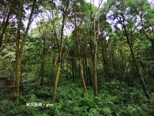 IMG_20181229_161610.jpg IMG_20181229_161610.jpg