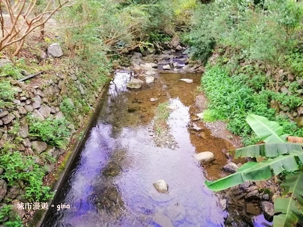 IMG_20181229_162151.jpg IMG_20181229_162151.jpg