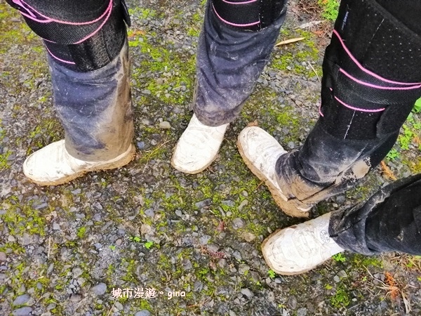 IMG_20181229_163501.jpg IMG_20181229_163501.jpg