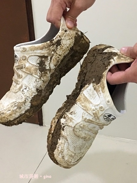 IMG_20181229_163502.jpg IMG_20181229_163502.jpg