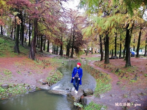 【宜蘭羅東】綠意盎然巧遇落羽松。 羅東運動公園