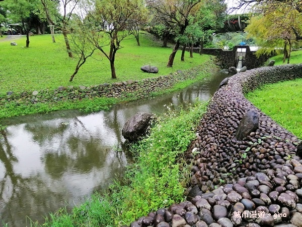 【宜蘭羅東】綠意盎然巧遇落羽松。 羅東運動公園