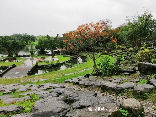 【宜蘭羅東】綠意盎然巧遇落羽松。 羅東運動公園