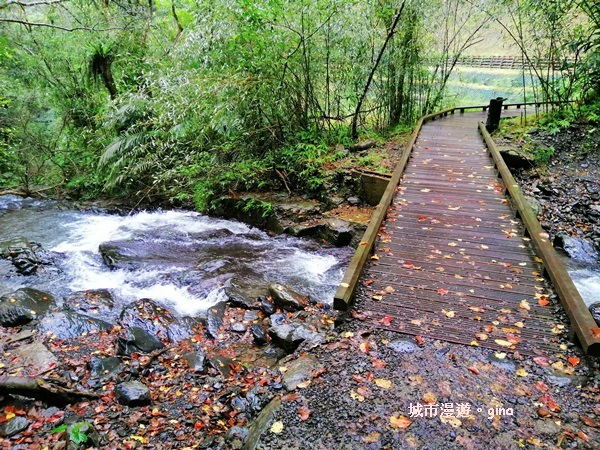 IMG_20181230_115702.jpg IMG_20181230_115702.jpg