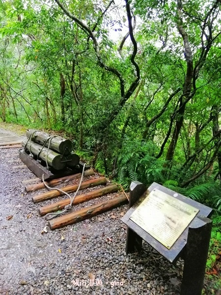 IMG_20181230_121503.jpg IMG_20181230_121503.jpg